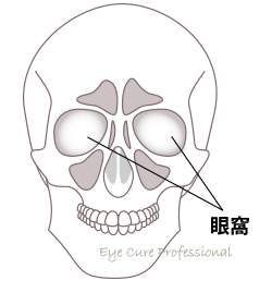 眼窩