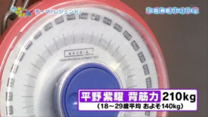 平野紫耀の背筋